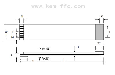 FFC排線平面結(jié)構(gòu)